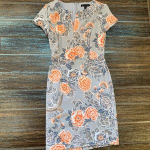 Light Blue Floral & Crane Fitted Dress